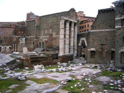 <b>The Forum of Augustus</b>