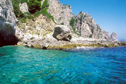<b>A strip of coast of Capri</b>